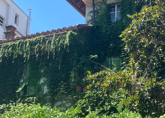Appartamento Tra Villini E Giardini - Montesacro Roma